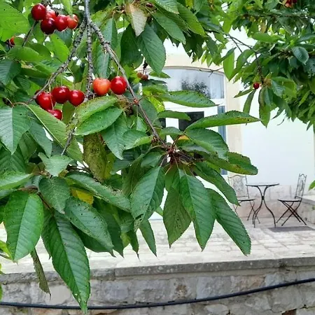 Homestay Locazione Turistica San Giorgio *